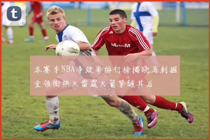 本赛季NBA净效率排行榜揭晓马刺掘金领衔热火雷霆火箭紧随其后