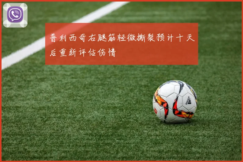 普利西奇右腿筋轻微撕裂预计十天后重新评估伤情